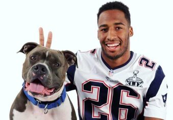 NFL star Logan Ryan and wife Ashley Bragg turn wedding into dog rescue fundraiser