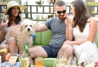Top 10 Dog-Friendly Luxury Hotels in North America