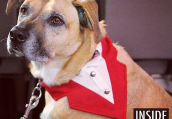 The Bark Ball is the top-dog event of the year