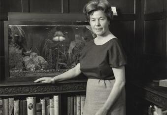 Tortoises, cats and dog inherit tens of thousands from bookshop tycoon Christina Foyle