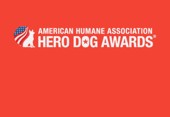 Hero Dog Awards: Meet the Top 7 Finalists