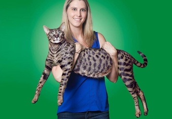 World’s tallest cat and cat with world’s longest tail also happen to be roommates