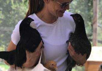 Jennifer Garner unleashes her inner mean girl: walks her chicken and doesn't give a cluck