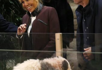 Baby Panda tries to take a bite out of France's First Lady