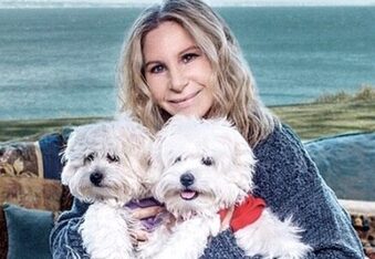 Barbra Streisand cloned her dog, spending up to $500,000