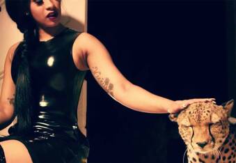 Rapper Cardi B Attacked By Cheetah In Music Video Bodak Yellow