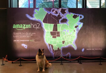 Amazon HQ's Dog Friend Office has 6,000 dogs and they have the best office perks