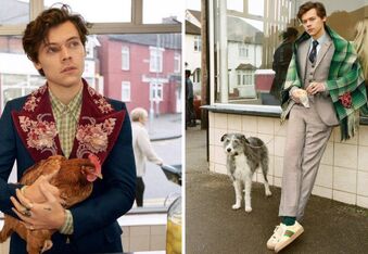 Harry Styles, Two Chickens, & Several Dogs Pose for Gucci in This Fish & Chips Shop