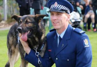 Hero police dog stabbed, saved by another hero police dog with blood donation