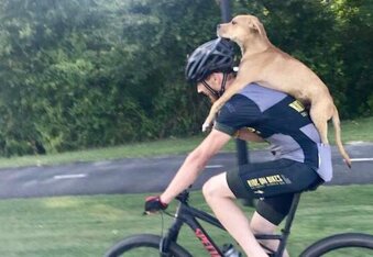 Cyclist Bikes Injured Dog 7 Miles, Saving His Life