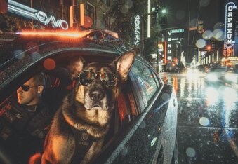 Good Boys Only: Vancouver Police Department Releases K9 Unit Calendar