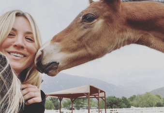 Kaley Cuoco Bids to Adopt The Horse Punched at the Olympics