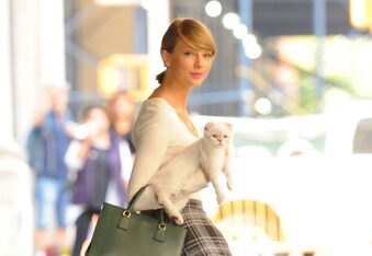 Taylor Swifts Cat Olivia Benson is One of the Worlds Richest Pets