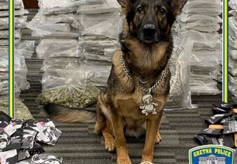Doggo Dripping: K-9 Officer rocking $65K in confiscated jewelry from drug bust