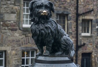The Story of Greyfriars Bobby, the dog that stayed by his owner's grave for 14 years