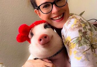 Roxy aka @roxxydepalma The Pot Belly Pig With the Biggest Smile In The World