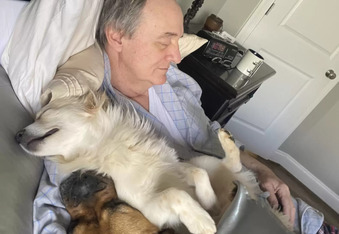 Neighborhood Dogs Find Their Human and Visit for Daily Nap Times