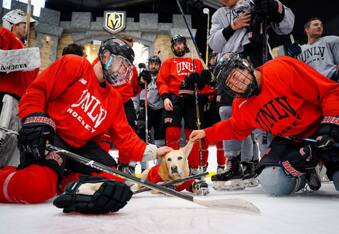 Benny The Ice Skating Dog: An Award Winning Rescue With Stadiums of Fans
