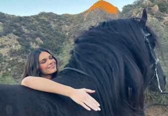 Kendall Jenner is expecting her first baby via surrogate. Also, it's a horse.