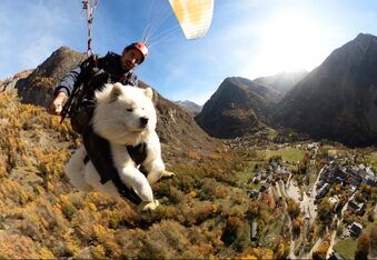 Ouka The Fluffy Flying Dog, A World Traveler Takes Flight Over France