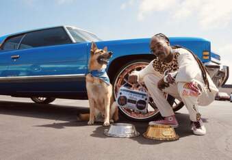 Snoop Dogg finally launches a pet accessories brand: Snoop Doggie Doggs