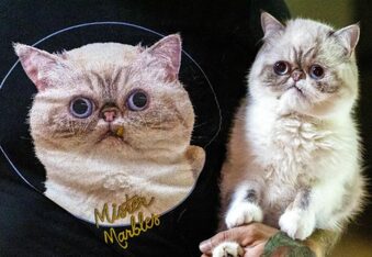 Meet Mister Marbles, Lil BUB’s Space Cat Protege