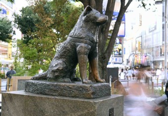 The Story of Hachikō, the Japanese Akita That Waited Every Day For His Human