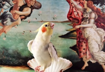 Meet Mr. Lubitsch, the opera-singing parrot