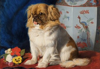 The Painting of Looty: A Tribute to Queen Victoria's Beloved Companion