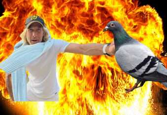 Michael Bay charged with killing a pigeon but denies the allegation