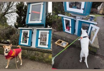 “Dog Library” in Vancouver Offers Free Dog Supplies, Delights the Local Community