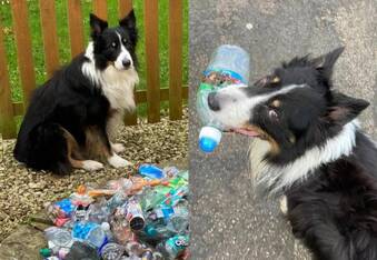 Scruff the Eco-Dog has Recycled Over 1000 Bottles and Counting