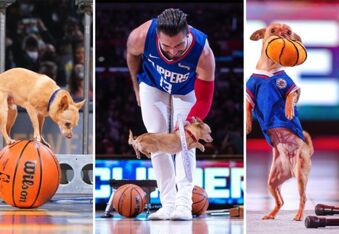 Christian and Scooby the Chihuahua Prove You Don’t Have to be Tall to Ball