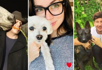 Oscars 2023: Meet the Nominees' Celebrity Pets!