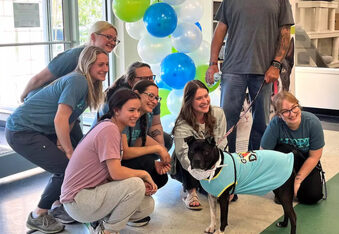 Ginny the Pup Gets A Celebratory Bash After Waiting 1,000 Days to Be Adopted