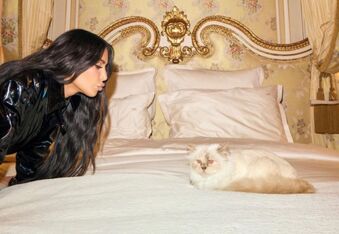 Kim Kardashian Hooks Up With Karl Lagerfeld's Cat Choupette in Paris