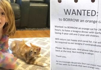 Mom’s Poster Looking to Borrow a Garfield Lookalike Cat for Her Daughter’s Birthday Goes Viral