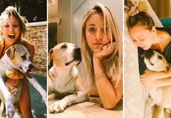 Oh Norman! Kaley Cuoco Launching Dog Brand in Memory of Her Beloved Dog