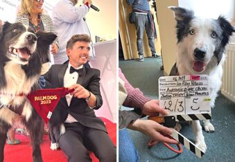 Palm Dog Awards 2023: Meet Messi, the Canine Actor Who Won at the Cannes Film Festival