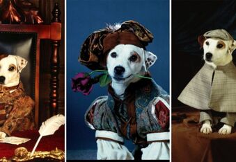 The History of Soccer, the Dog Actor That Played Wishbone