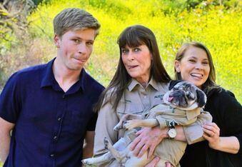 The Pugadile Hunter: Doug the Pug Teams up With the Irwin Family for Parody Video