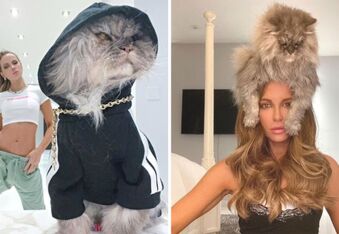 Kate Beckinsale Mourns the Death of Clive, Her Beloved Persian Cat