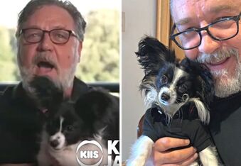 Russell Crowe Shows off Ezekiel, His New Papillion Puppy, Who Was Delivered by Private Jet