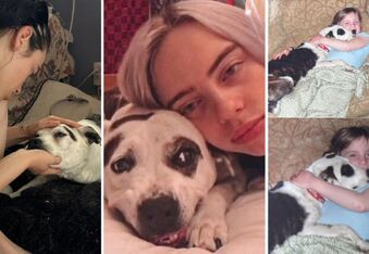 Billie Eilish’s Childhood Dog Pepper Passes Away at 15 Years Old