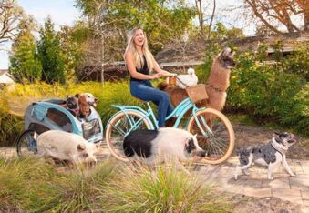 Living With Pickles: A Surfing Painting Therapy Pig With a Rescue Animal Family
