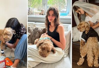 Model Taylor Hill Shares Death of Her Dog Tate After Cancer Battle