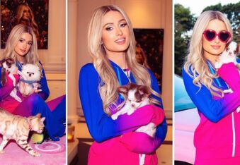 Paris Hilton Shows Off New Chihuahua Puppy, Asks Fans To Help Her Name It [UPDATE: The Name is Prince Tokyo Gizmo Hilton]