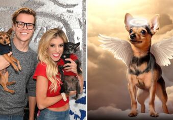 Youtubers Rebecca Zamolo and Matt Slays Mourn the Loss of Their Dog Peanut