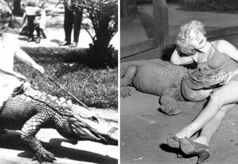 Throwback to that California Alligator Farm Where Kids Could Play With Gators