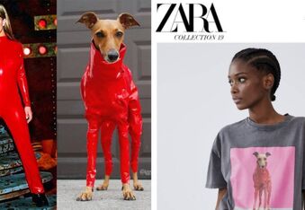 Iggy Joey: Started in a Puppy Mill, Now She’s Modeling for Zara and Mercedes